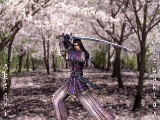 Mitsuhide--Painting Style