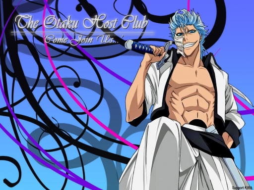 OHC--Grimmjow