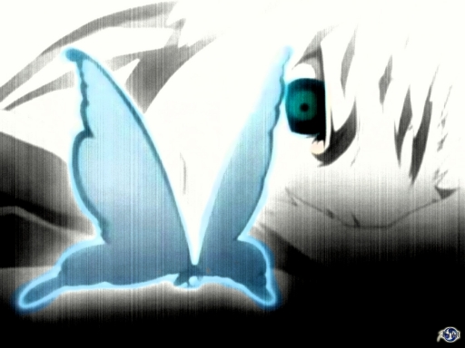 Toshiro's Butterfly