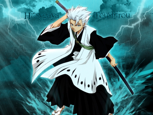 Toushirou - Ice captain