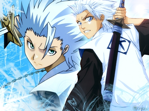 Hitsugaya Toushiro prepared fo