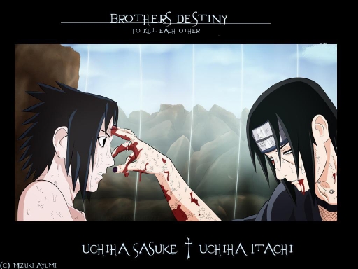 Brothers Destiny