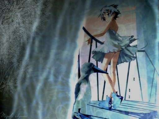 Looking for the Future