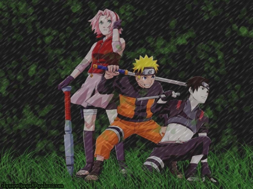 New Team 7