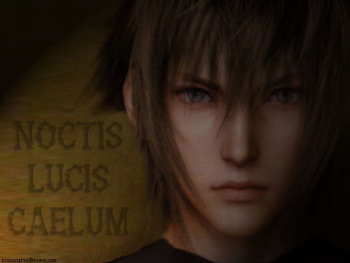 Noctis Lucis Caelum