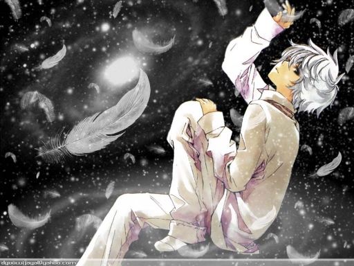 The Feathers of Universe