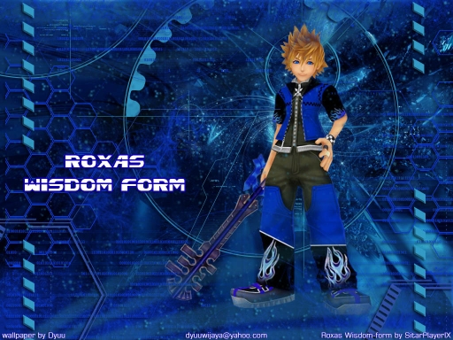 Roxas Wisdom Form