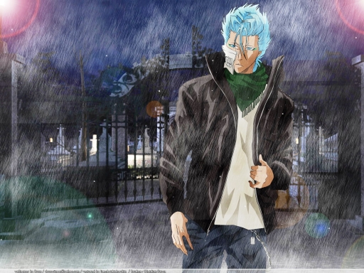 Wet ( Grimmjow Jaegerjaques)