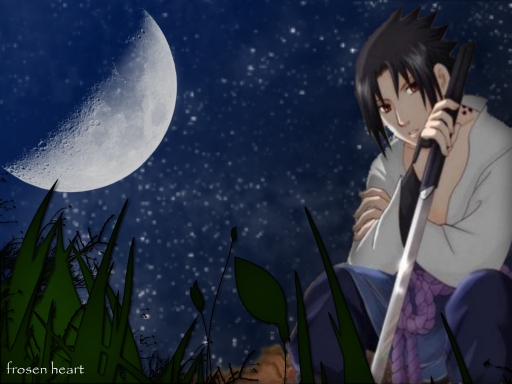 under the moon light