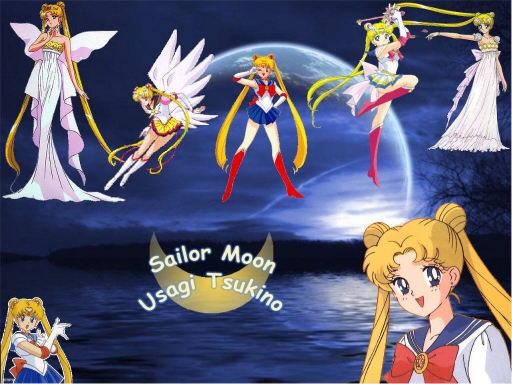 ~: Sailor Moon :~