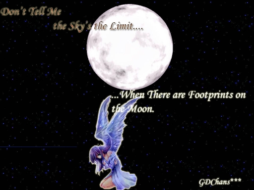 Don't Tell Me the Sky's the Li