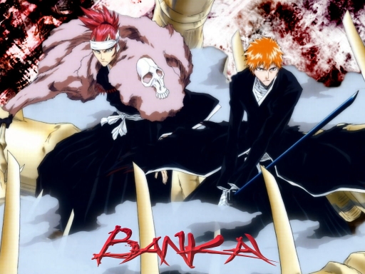 Renji and Ichigo_Bankai