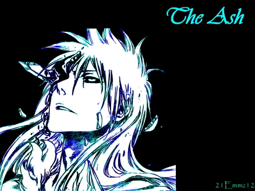 The Ash---- Ichigo