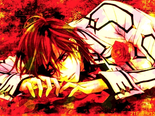 Vampire Knight----- Kaname
