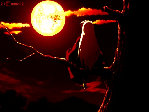 Inuyasha```` Moon