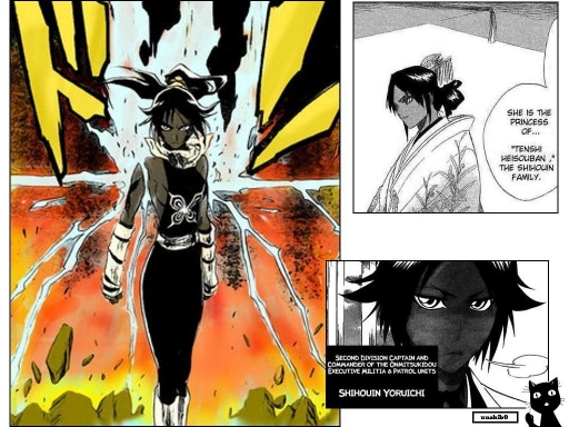 Yoruichi Manga Version
