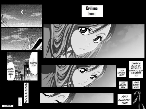 Orihime Inoue Goodbye