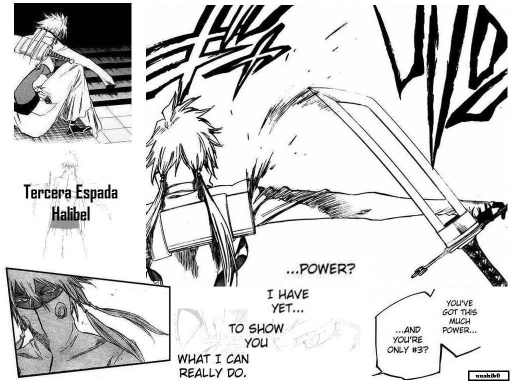 Tercera Espada Halibel Manga V