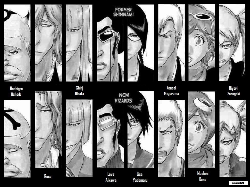 Former Shinigami Now Vizards