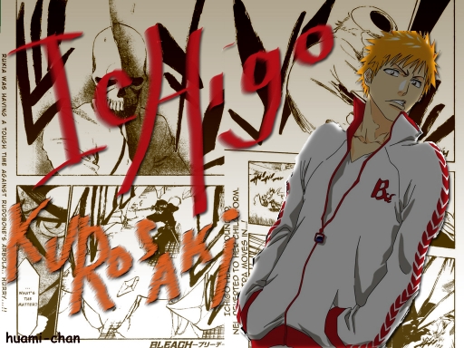 Ichigo Kurosaki....