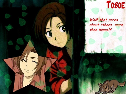 Caring Wolf Toboe