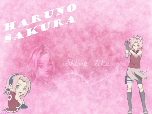 Shine, Sakura
