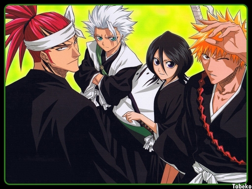 Bleach