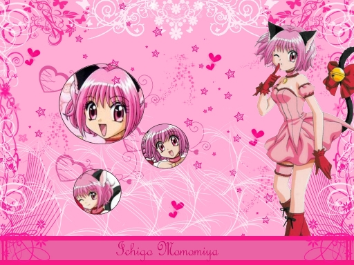 Ichigo Momomiya..=^_^=...Nya!!