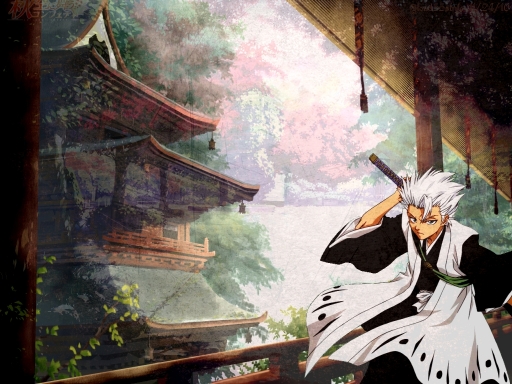 Hitsugaya