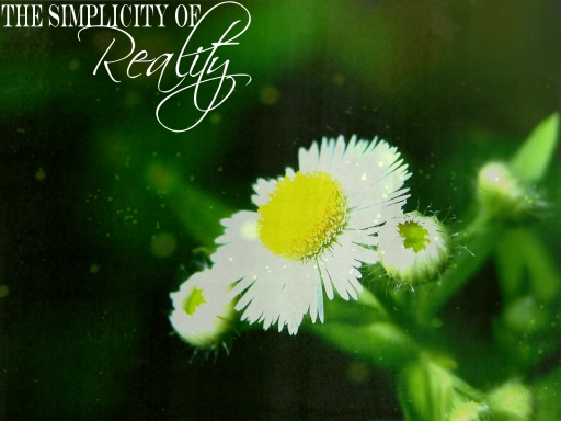 S  I  M  P  L  I  C  I  T  Y