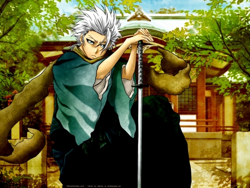 Captain Toshiro