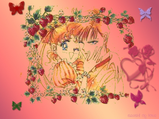 Mamoru&Usagi Love