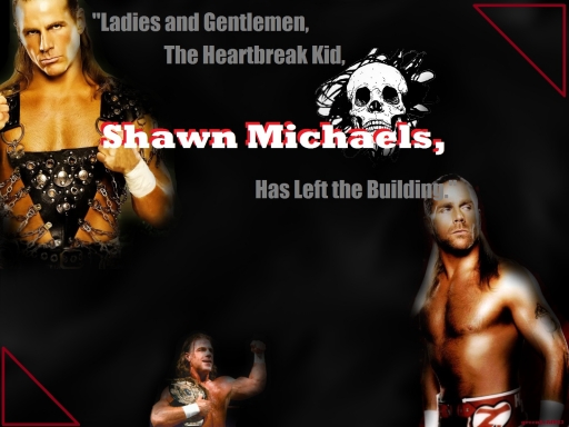 Shawn Michaels for Cat14