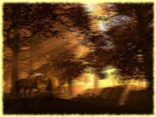 The Peaceful Forest...