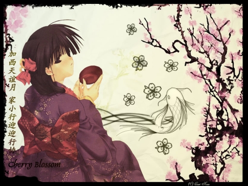 Tea Ceremony {Sakura no hana}