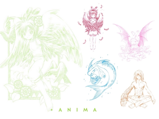 anima