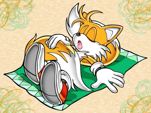 Tails sleeps