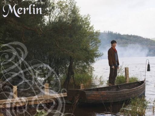 Merlin at the waters edge
