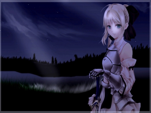 Saber in Moonlight