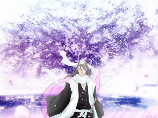 Kuchiki Byakuya- Sakura Bloom