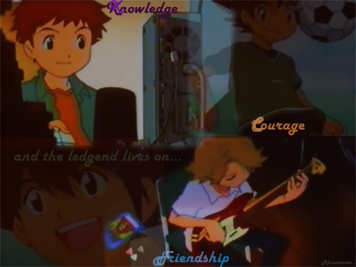 courage, knowledge and friends