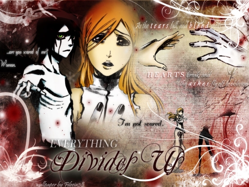 everything divides us