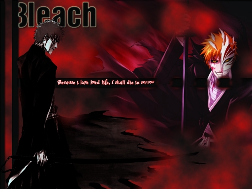 Bleach 101