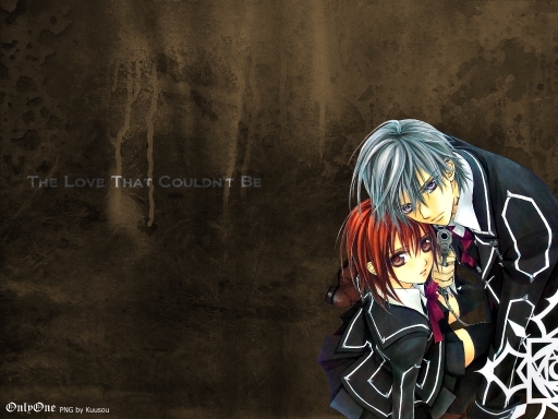 The Love That Couldn't Be