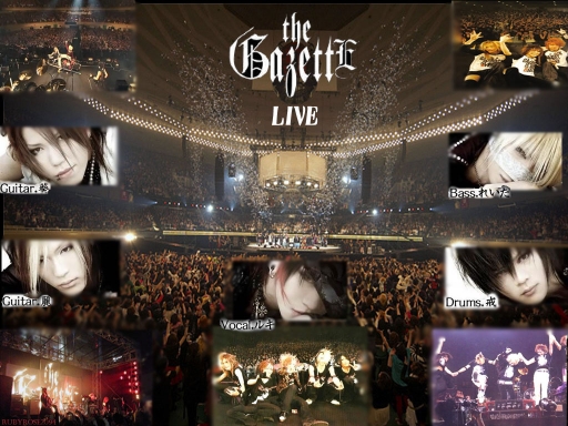 The GazettE Live