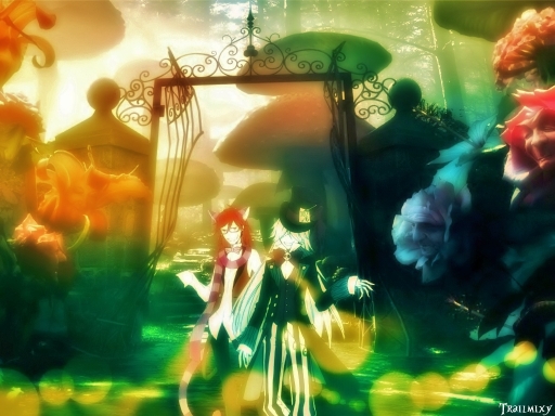 W.o.N.d.E.r ( L) (A) (N) (D)