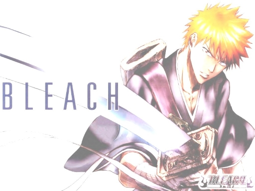 Bleach