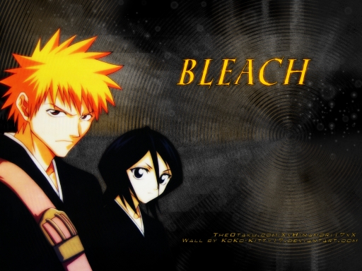 Bleach