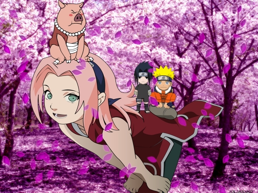Sakura