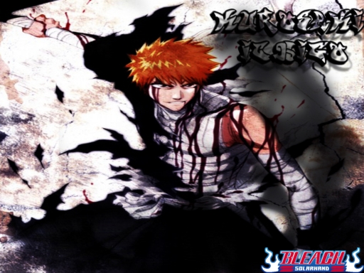 Kurosaki Ichigo